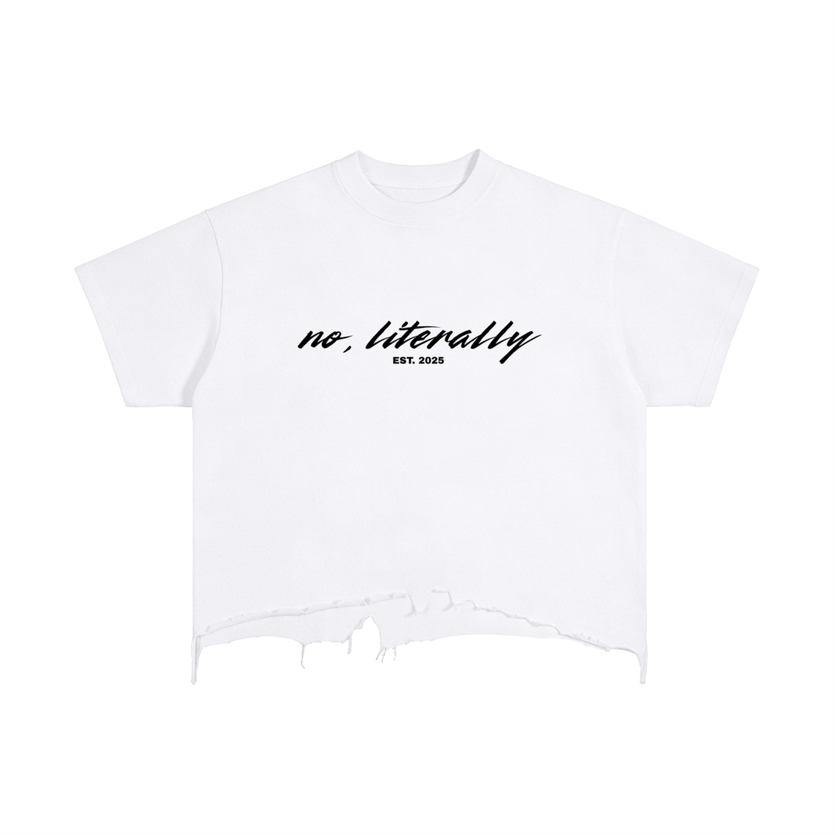 No, Literally Ascended Angel Distressed T-Shirt